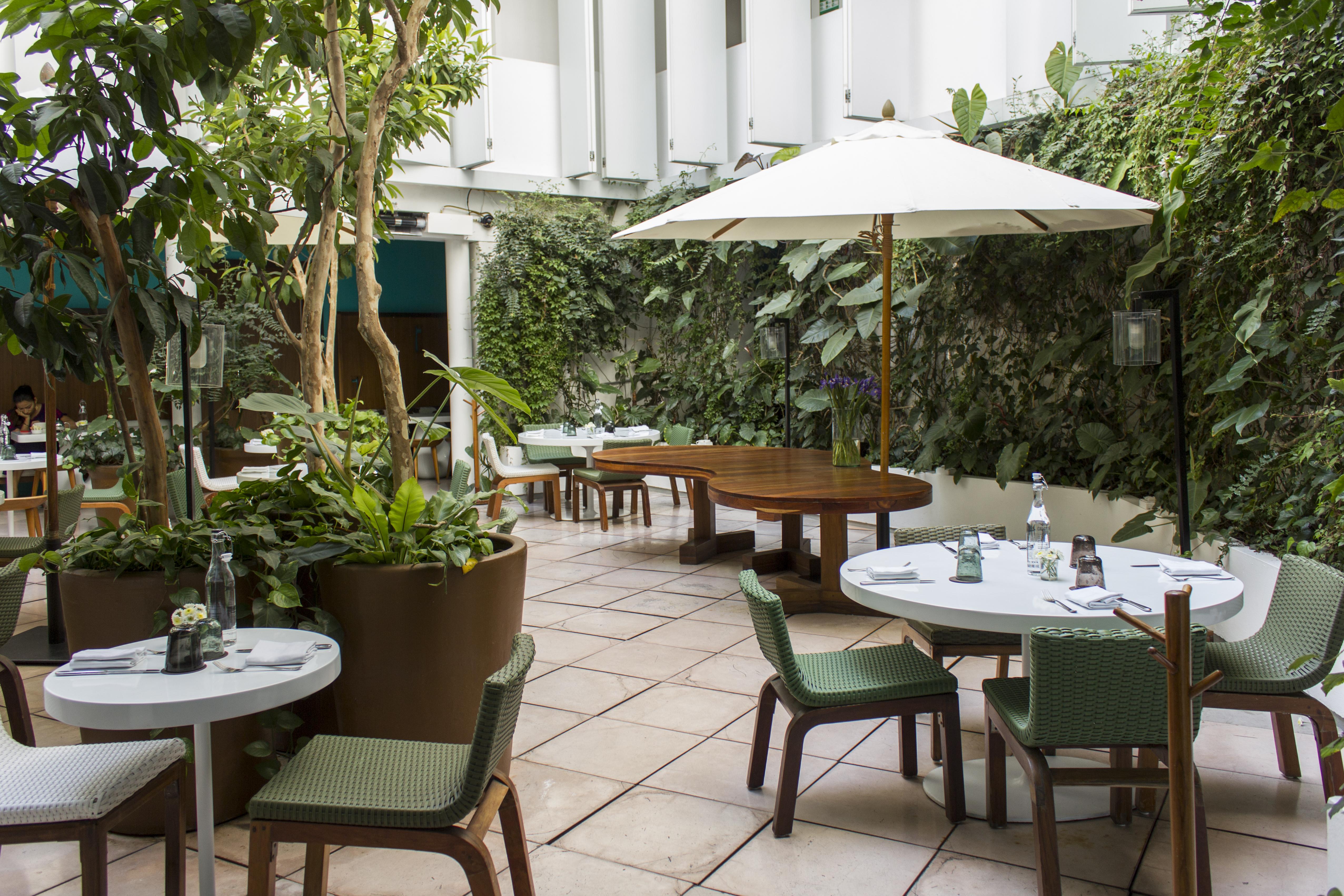 Condesa Df, Mexico City, A Member Of Design Hotels Eksteriør bilde